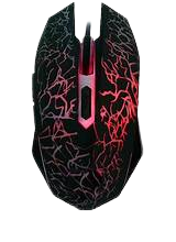 Mouse 01