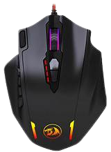 Mouse 06
